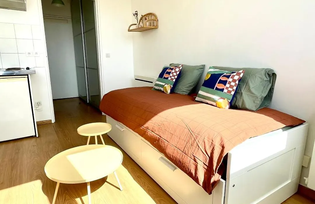 Charming Bright Sunny Studio In Belleville-1
